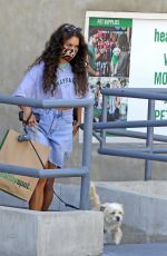 VANESSA HUDGENSS Out with Her Dog in Los Feliz 08/27/2020