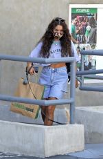 VANESSA HUDGENSS Out with Her Dog in Los Feliz 08/27/2020