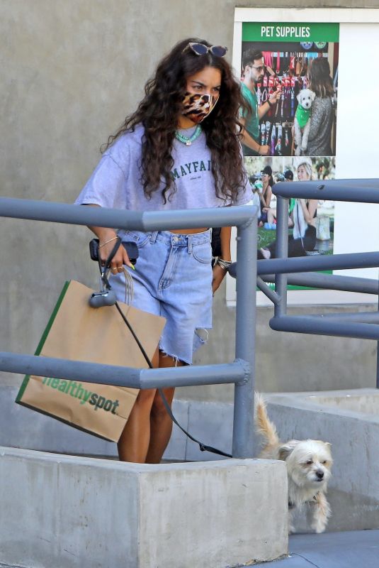 VANESSA HUDGENSS Out with Her Dog in Los Feliz 08/27/2020