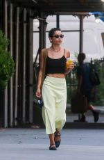 ZOE KRAVITZ and Karl Glusman Out with Their Dog in New York 08/27/2020