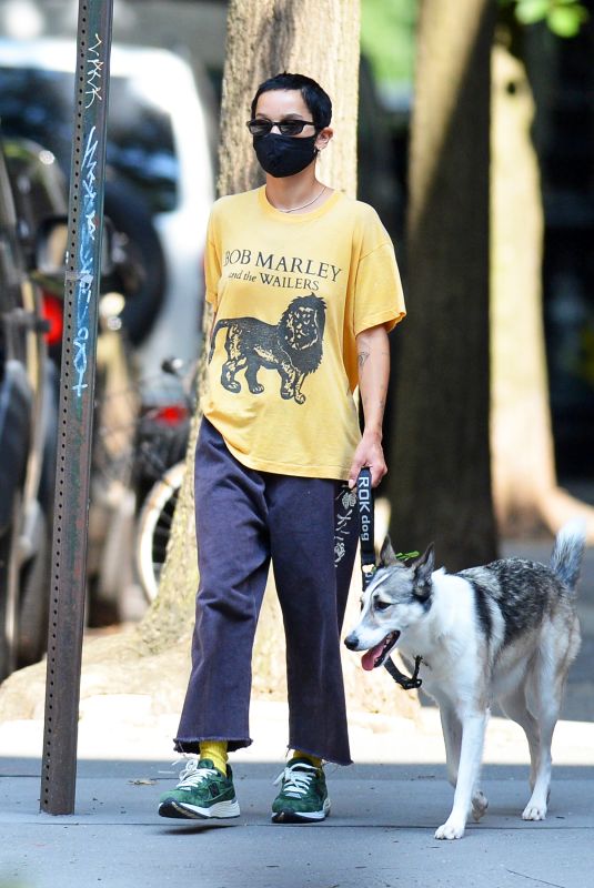 ZOE KRAVITZ Out with her Dog in New York 08/10/2020