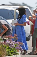 ABIGAIL SPENCER Shopping at Farmers Market in Montecito 09/05/20