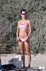 ALESSANDRA AMBROSIO in Bikini at a Beach in Santa Monica 09/19/2020