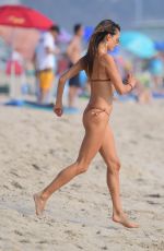 ALESSANDRA AMBROSIO in Bikini at a Beach in Santa Monica 09/26/2020
