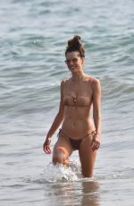 ALESSANDRA AMBROSIO in Bikini Out on the Beach in Santa Monica 09/26/2020