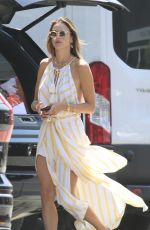 ALESSANDRA AMBROSIO Out Shopping for Colorful Balloons in Los Angeles 09/06/22020