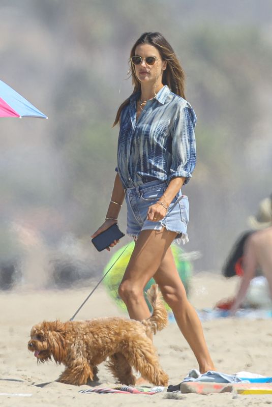 ALESSANDRA AMBROSIO Out with Her Dog at a Beach in Malibu 09/04/2020