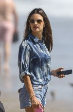 ALESSANDRA AMBROSIO Out with Her Dog at a Beach in Malibu 09/04/2020
