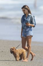ALESSANDRA AMBROSIO Out with Her Dog at a Beach in Malibu 09/04/2020