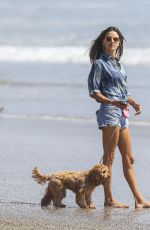 ALESSANDRA AMBROSIO Out with Her Dog at a Beach in Malibu 09/04/2020