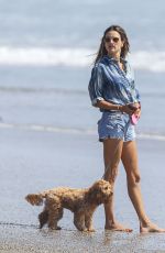 ALESSANDRA AMBROSIO Out with Her Dog at a Beach in Malibu 09/04/2020