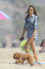ALESSANDRA AMBROSIO Out with Her Dog at a Beach in Malibu 09/04/2020