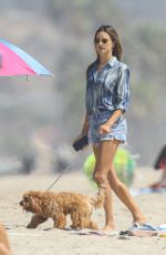 ALESSANDRA AMBROSIO Out with Her Dog at a Beach in Malibu 09/04/2020
