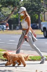 ALESSANDRA AMBROSIO Out with Her Dog in Los Angeles 09/03/2020