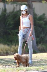 ALESSANDRA AMBROSIO Out with Her Dog in Los Angeles 09/03/2020