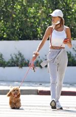 ALESSANDRA AMBROSIO Out with Her Dog in Los Angeles 09/03/2020