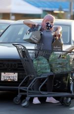 ARIEL WINTER Out Shopping in Los Angeles 09/25/2020