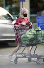ARIEL WINTER Shopping for Grocery in Los Angeles 09/09/2020
