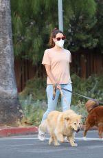 AUBREY PLAZA Out with Her Dogs in Los Angeles 09/29/2020