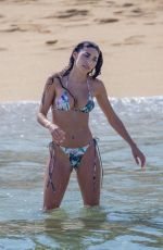 CHANTEL JEFFRIES in Bikini at a Beach in Cabo San Lucas 09/08/2020