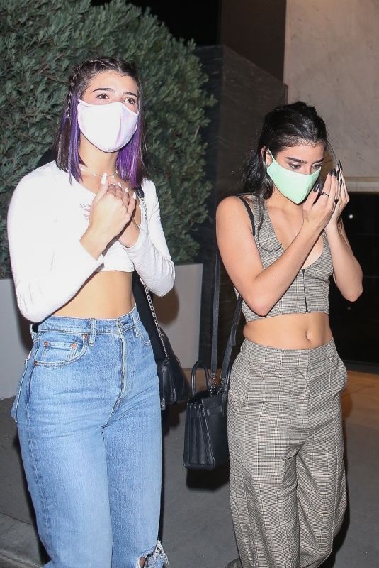 CHARLI and DIXIE D