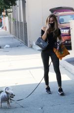CHRISHELL STAUSE Out with her Dog in Los Angeles 09/05/2020