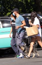 DAKOTA JOHNSON and Chris Martin Out Shopping in New York 09/07/2020