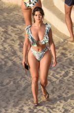 DEMI ROSE in Bikini at a Beach in Spain 08/29/2020