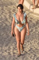 DEMI ROSE in Bikini at a Beach in Spain 08/29/2020