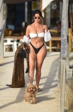 DEMI ROSE in Bikini Out with Her Dog at a Beach in Spain 09/07/2020