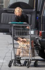 DIANE KRUGER Out for Grocery Shopping in Los Angeles 09/22/2020