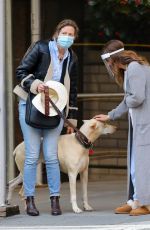 DREW BARRYMORE Comes to the Rescue of a New Yorker Whose Dog was Allegedly the Victim of a Car Hit-and-run 09/22/2020
