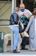 DREW BARRYMORE Comes to the Rescue of a New Yorker Whose Dog was Allegedly the Victim of a Car Hit-and-run 09/22/2020