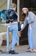 DREW BARRYMORE Comes to the Rescue of a New Yorker Whose Dog was Allegedly the Victim of a Car Hit-and-run 09/22/2020