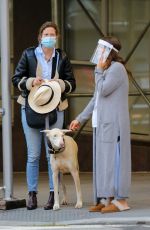 DREW BARRYMORE Comes to the Rescue of a New Yorker Whose Dog was Allegedly the Victim of a Car Hit-and-run 09/22/2020