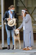 DREW BARRYMORE Comes to the Rescue of a New Yorker Whose Dog was Allegedly the Victim of a Car Hit-and-run 09/22/2020