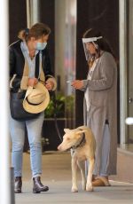 DREW BARRYMORE Comes to the Rescue of a New Yorker Whose Dog was Allegedly the Victim of a Car Hit-and-run 09/22/2020