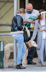 DREW BARRYMORE Comes to the Rescue of a New Yorker Whose Dog was Allegedly the Victim of a Car Hit-and-run 09/22/2020