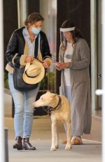 DREW BARRYMORE Comes to the Rescue of a New Yorker Whose Dog was Allegedly the Victim of a Car Hit-and-run 09/22/2020