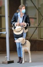 DREW BARRYMORE Comes to the Rescue of a New Yorker Whose Dog was Allegedly the Victim of a Car Hit-and-run 09/22/2020