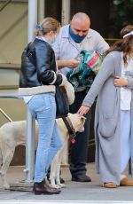 DREW BARRYMORE Comes to the Rescue of a New Yorker Whose Dog was Allegedly the Victim of a Car Hit-and-run 09/22/2020