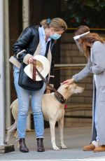 DREW BARRYMORE Comes to the Rescue of a New Yorker Whose Dog was Allegedly the Victim of a Car Hit-and-run 09/22/2020