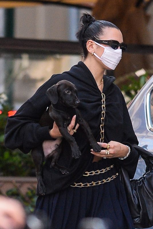 DUA LIPA Out with Her Dog in New York 09/23/2020