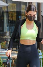 HAILEY BIEBER, KENDALL JENNER and JUSTINE SKYE Out for Lunch in West Hollywood 09/09/2020