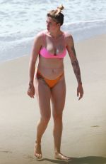 IRELAND BALDWIN in Bikini at a Beach in Malibu 09/03/2020
