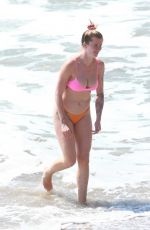 IRELAND BALDWIN in Bikini at a Beach in Malibu 09/03/2020