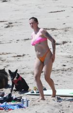 IRELAND BALDWIN in Bikini at a Beach in Malibu 09/03/2020