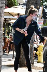 IRELAND BALDWIN Out for Lunch in Studio City 09/16/2020