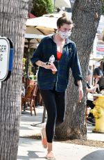 IRELAND BALDWIN Out for Lunch in Studio City 09/16/2020