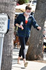 IRELAND BALDWIN Out for Lunch in Studio City 09/16/2020